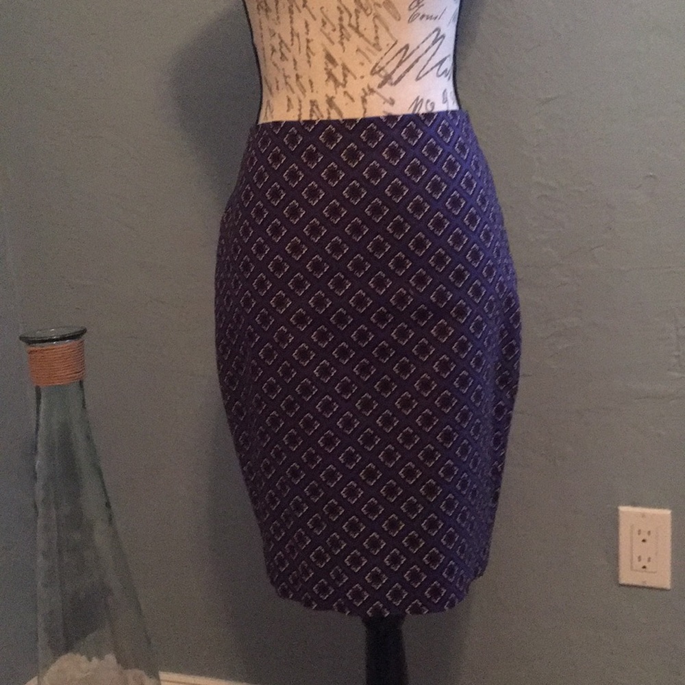 Express Pencil skirt